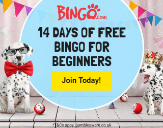 register at bingo.com